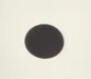 IVORY-AND-BLACK