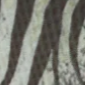 MIX