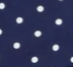 NAVY-AND-WHITE