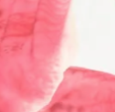 WHITE-AND-PINK