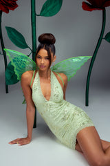 Enchanted Fairy Costume