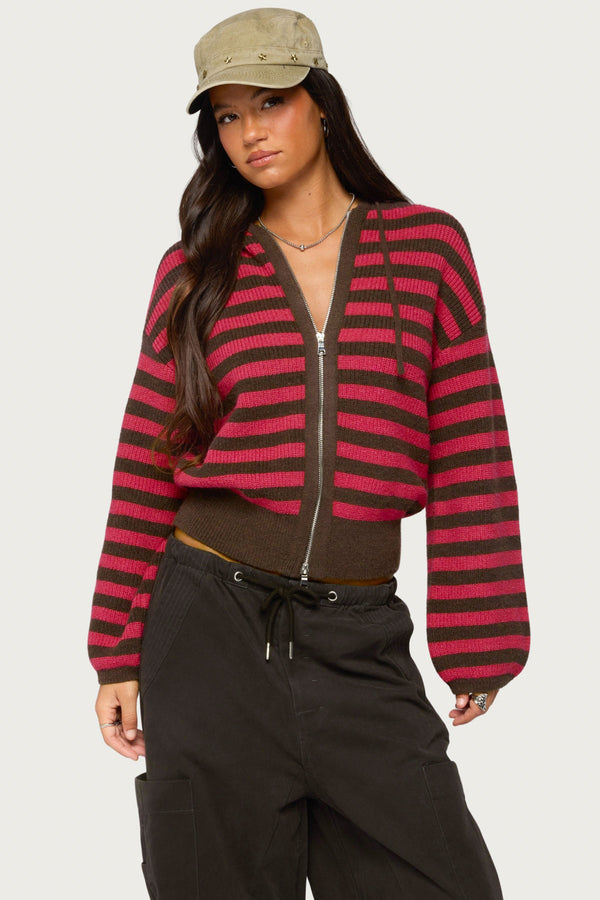 Cluny Striped Knit Zip Up Hoodie view 1
